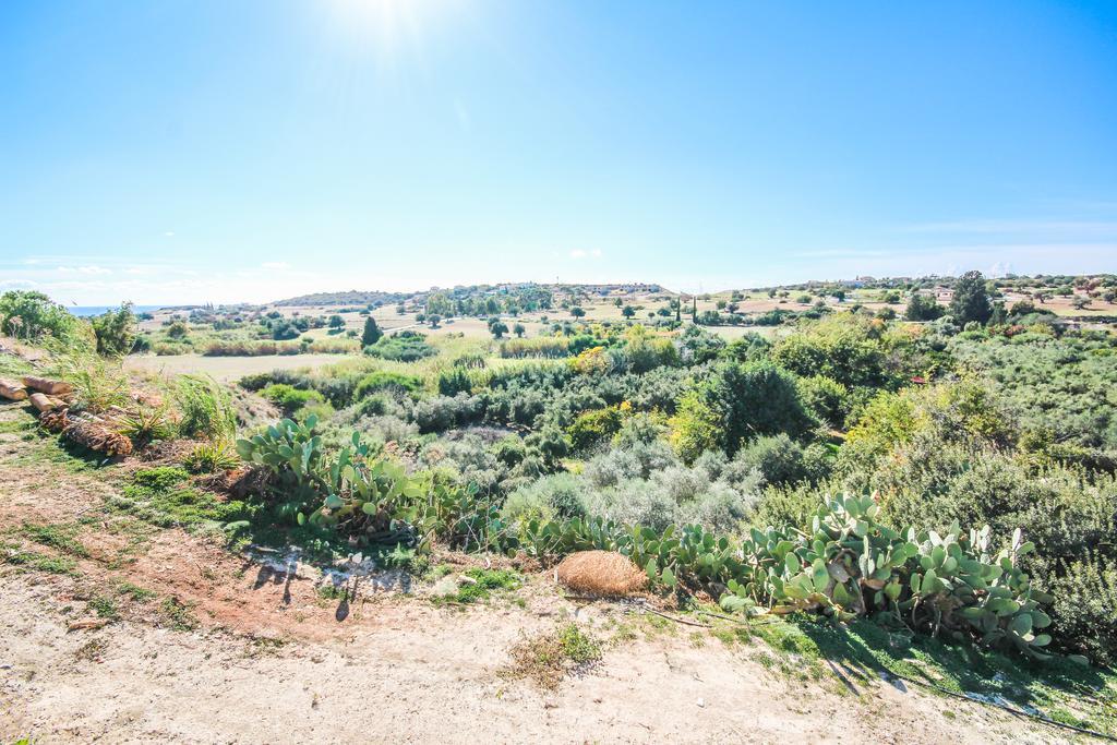 Orchard View Cottage Maroni Dış mekan fotoğraf