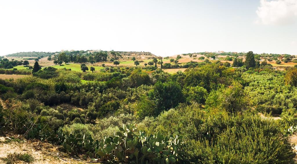 Orchard View Cottage Maroni Dış mekan fotoğraf